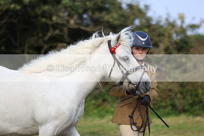 3E7A3279 - Class 12: M & M Small Breeds