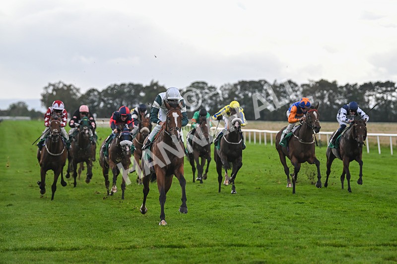 150925-Race 4-Hockney-2755 - Race 4