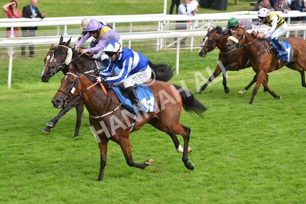 yr10072021r6-14 - Race 6: 4.40pm John Smith's City Walls Stakes