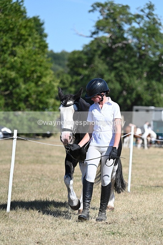 WJ7_1798 - Class 43 Best Six Legs (In hand)