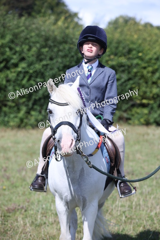 20250831-2574 - Class 16 - Family Pony