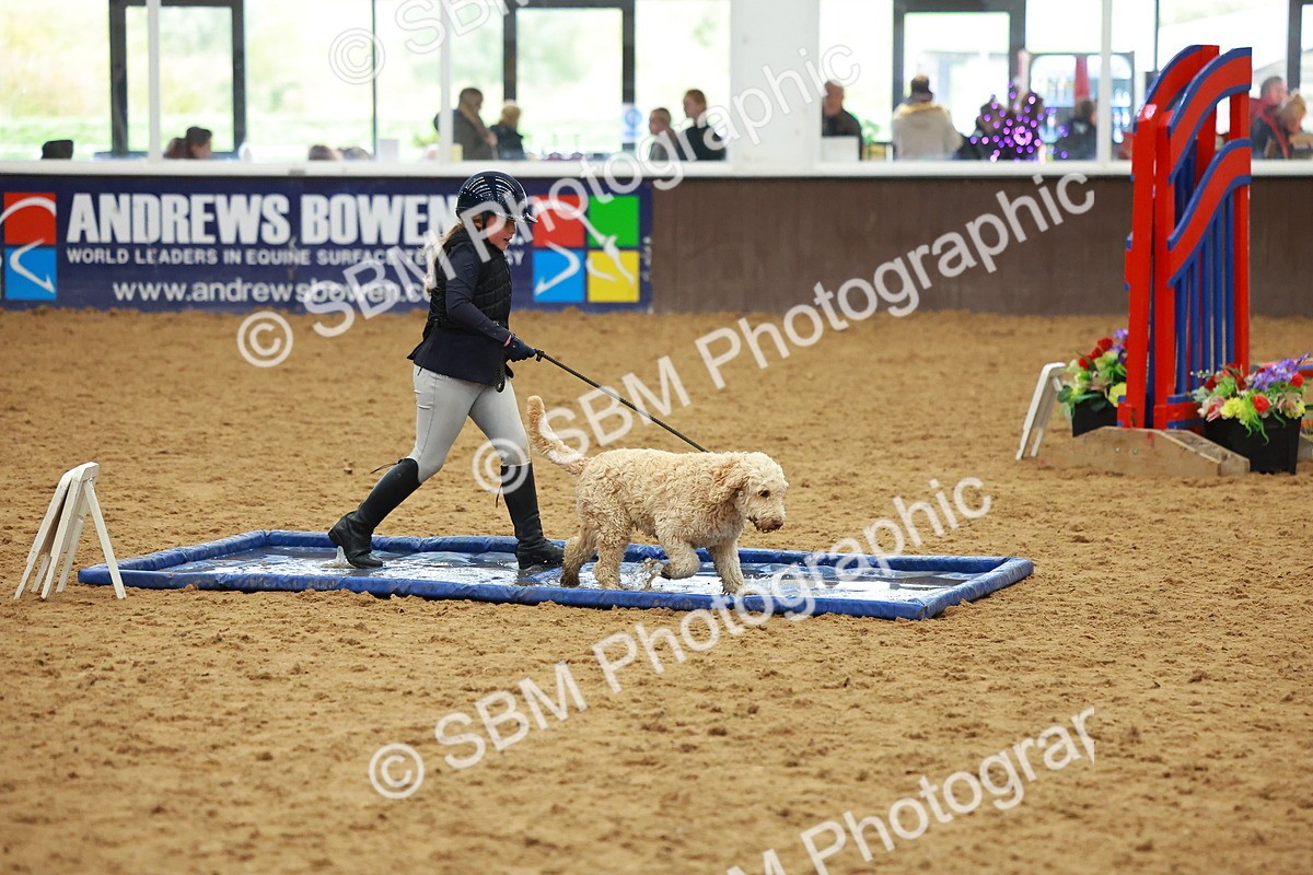 SBM_002184 - Class 3 - Horse & Hound (60cm)