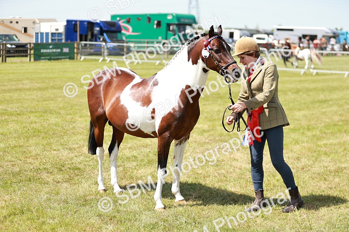 SBM_05473 - Class 39-40 - BSPA Coloured In Hand