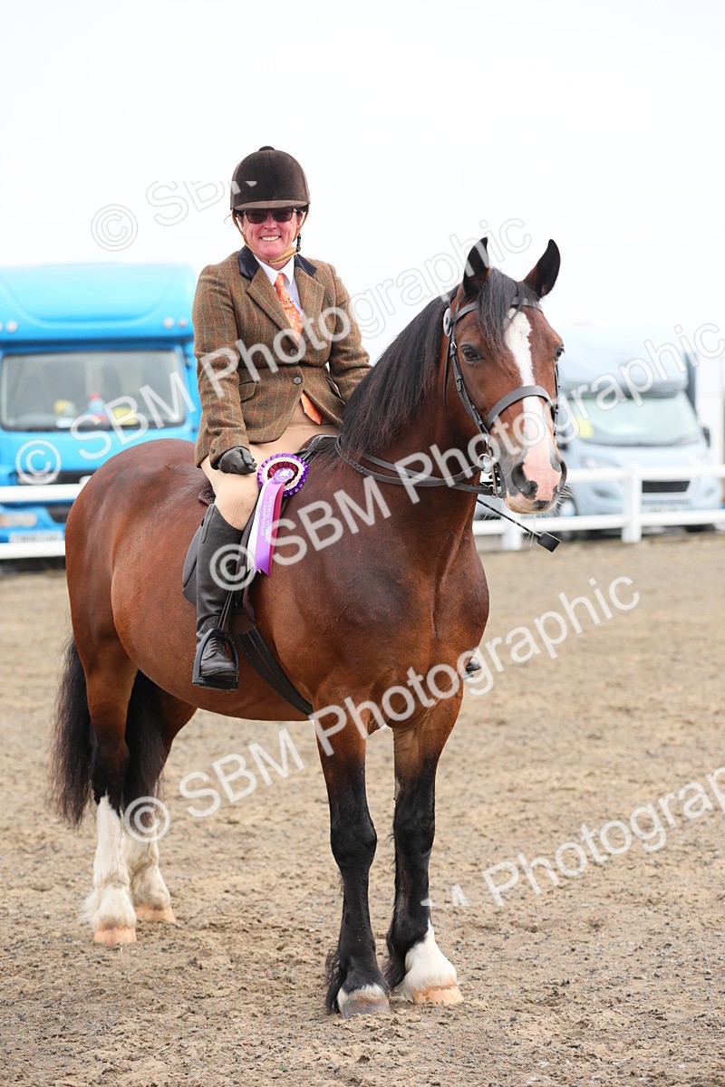 SBM_21417 - Class 805 - Ridden Veteran Horse
