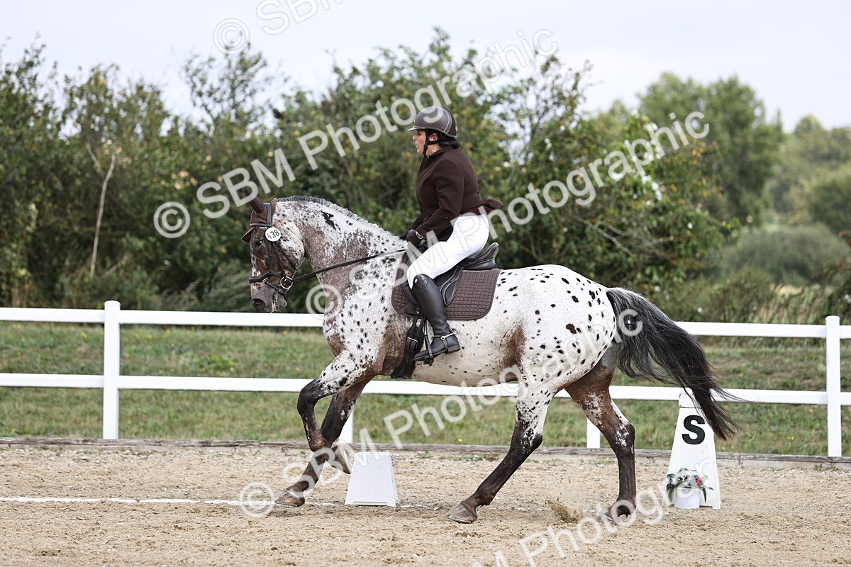 SBM_016847 - Class 14 Novice 23 - 11.53-12.56