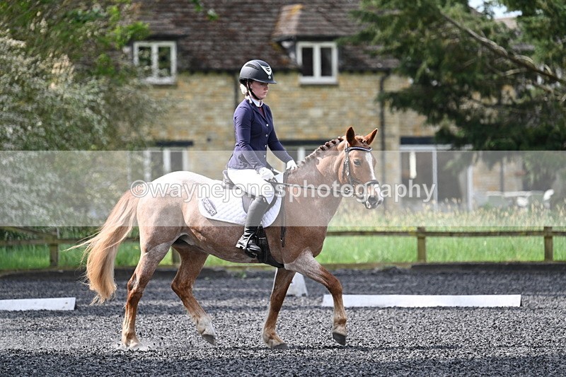 WJ7_8112 - Time 10:11 to 10:27