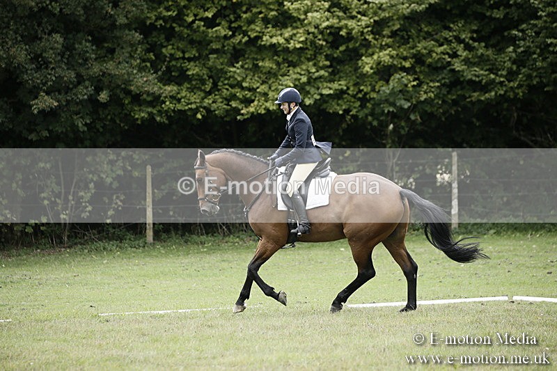 BVR080918 319 - BVRC Novice Dressage & CR 08/09/18