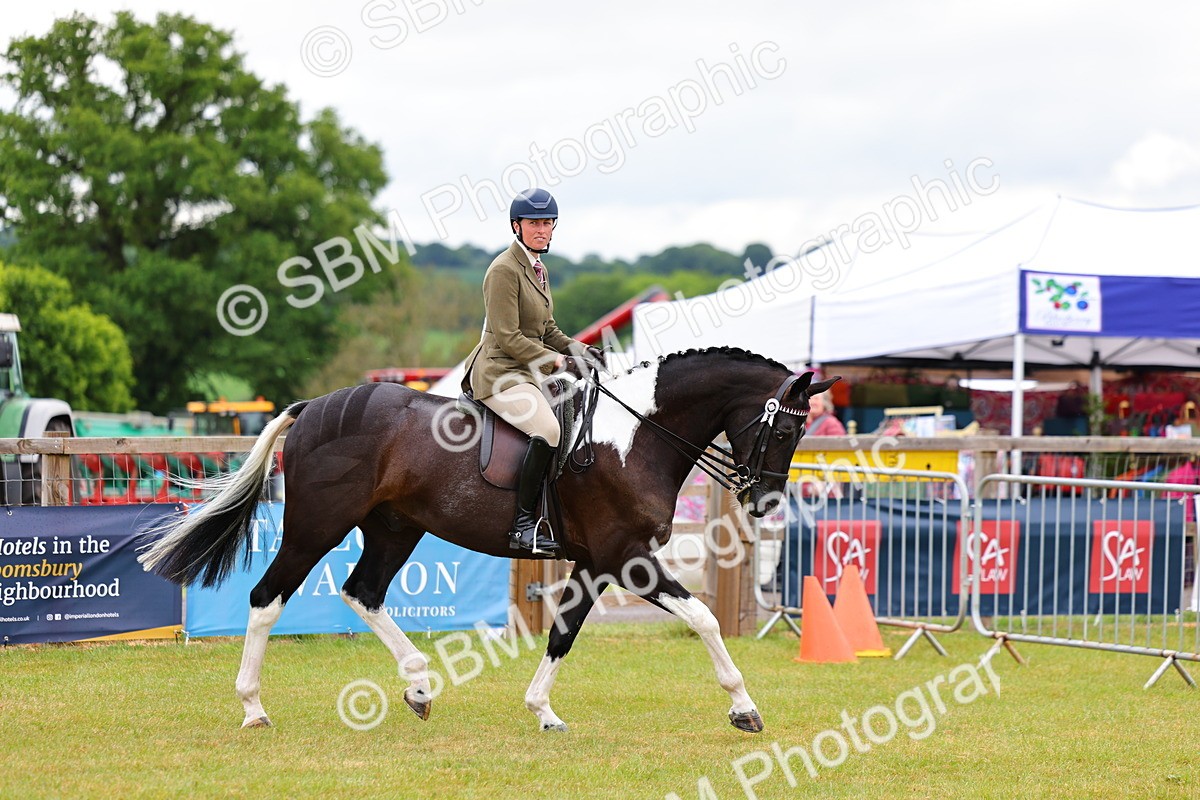 SBM_02483 - Class 9-11 Side Saddle including LIHS Rising Star Ladies Show Horse