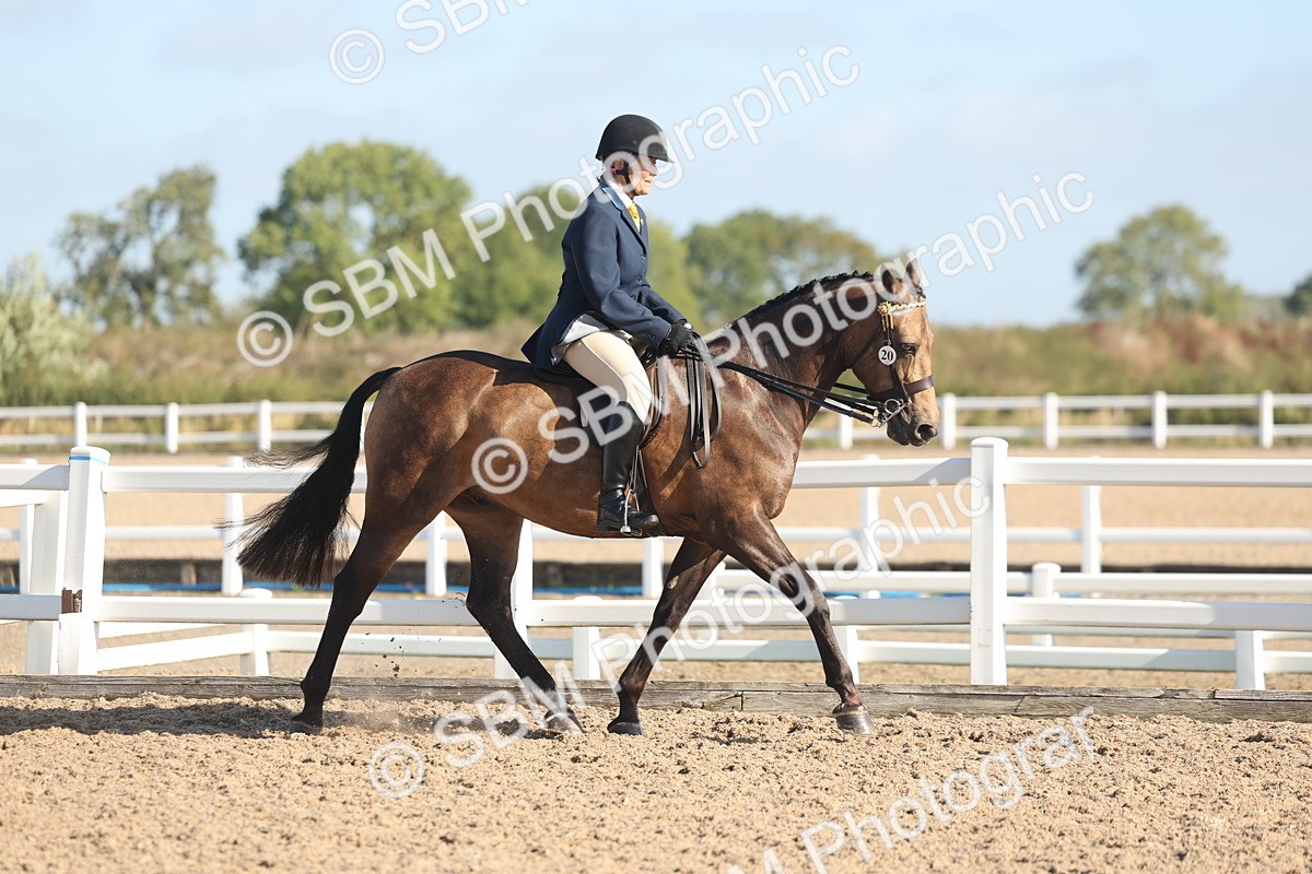 SBM_22290 - Class 803 - Ridden Combination 65+