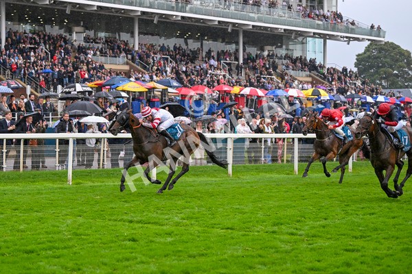 080924-Race 7-Young Fire-9722 - Race 7 5.10pm Elevator Company Amateur Jockeys' Handicap