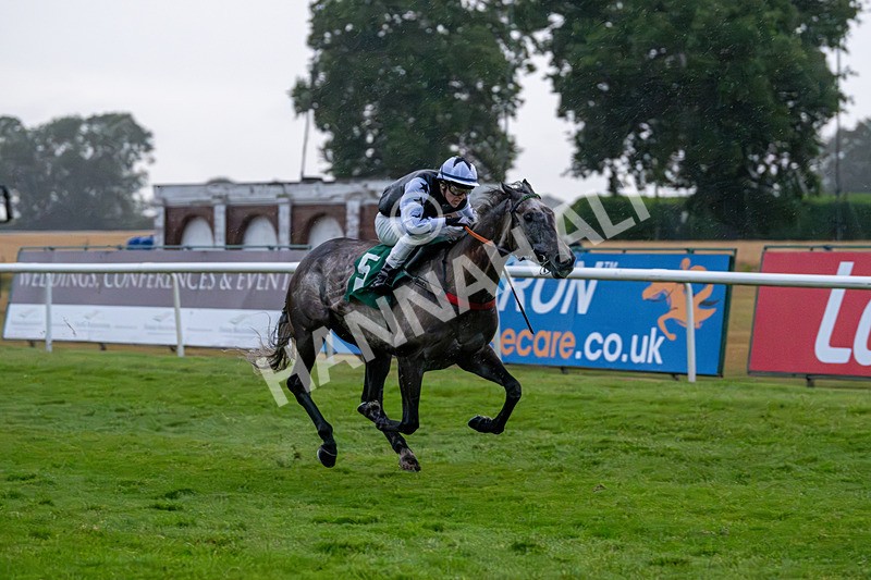 150725-Race 8-Good Karma-7676 - Race 8