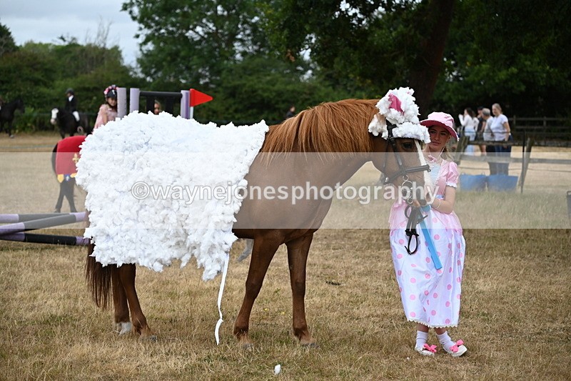 WJ6_8771 - Class 11 Fancy Dress