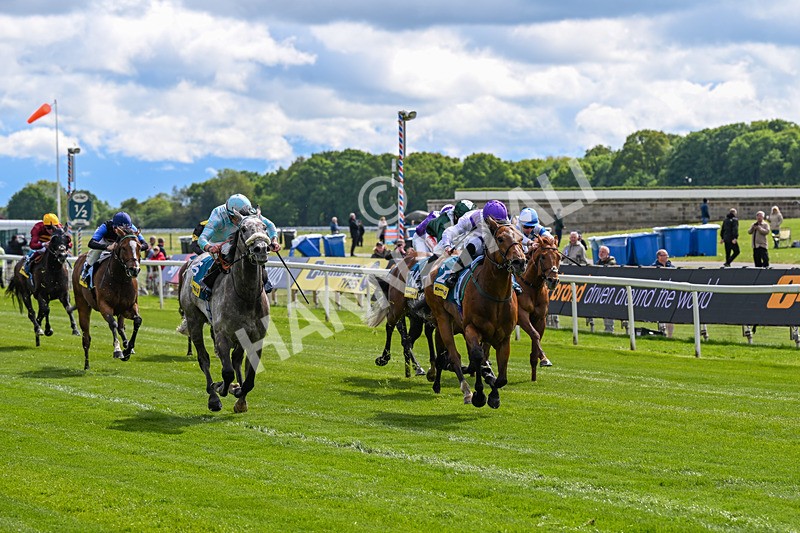 130526-Race 3-Dark Thirty-2782 - Race 3 2.55pm Churchill Tyres Handicap