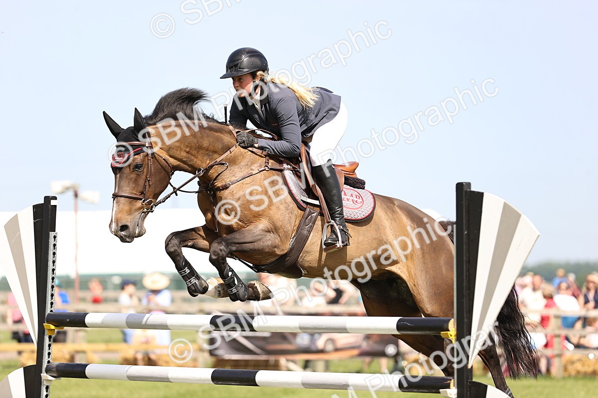 SBM_02950 - Class 201 - British Horse Feedds Speedi Beet HOYS Grade C