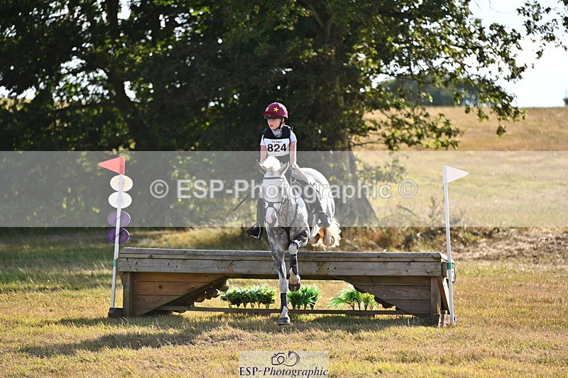 250803A-181103-18249 - R-824-Poppy.Wilkinson-DAISY.DER.BLUME