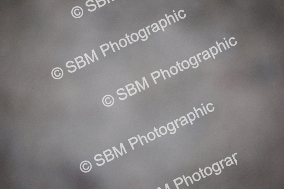 SBM_006416 - Evening Performance