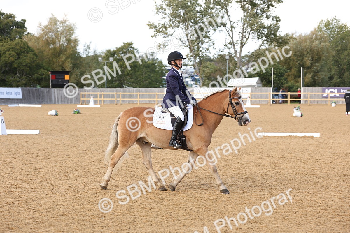 SBM_24608 - D17 - Grand Tour Championship Novice 3