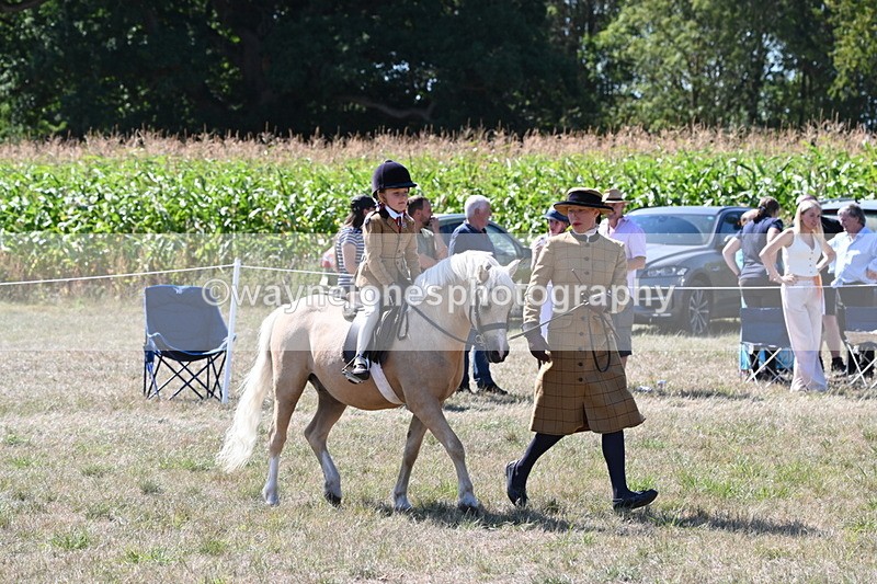 WJ6_8046 - Class 36 Lead Rein