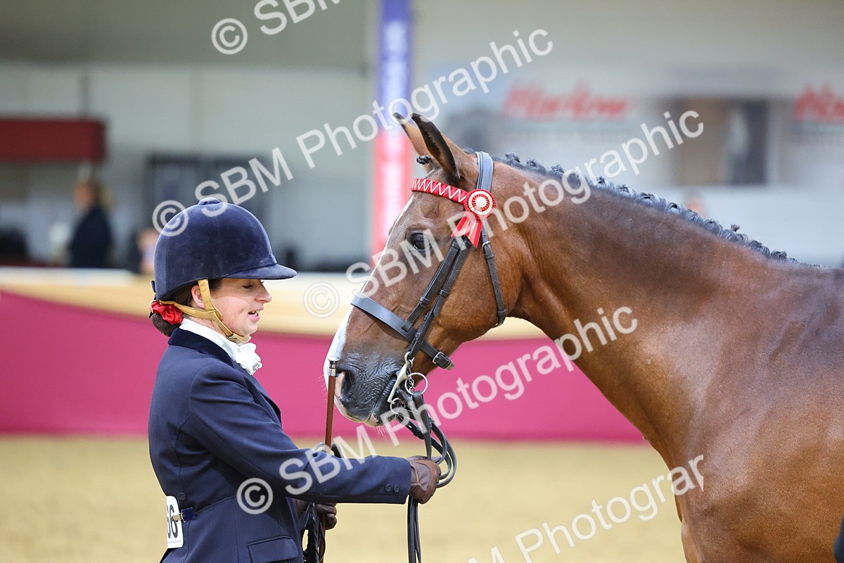 SBM_19501 - Class 901 - Supreme Final - IH Diamond