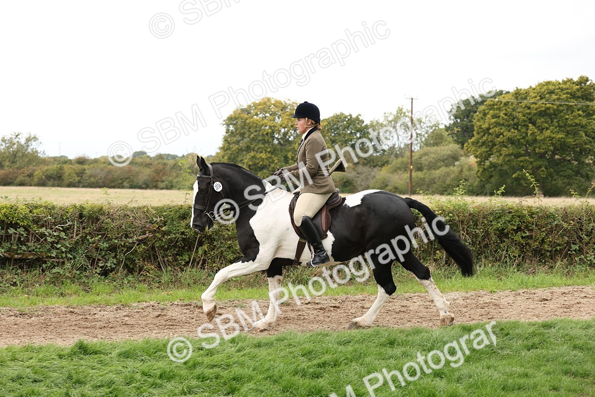 SBM_67262 - S67 - Piebald & Skewbald Horse Ridden