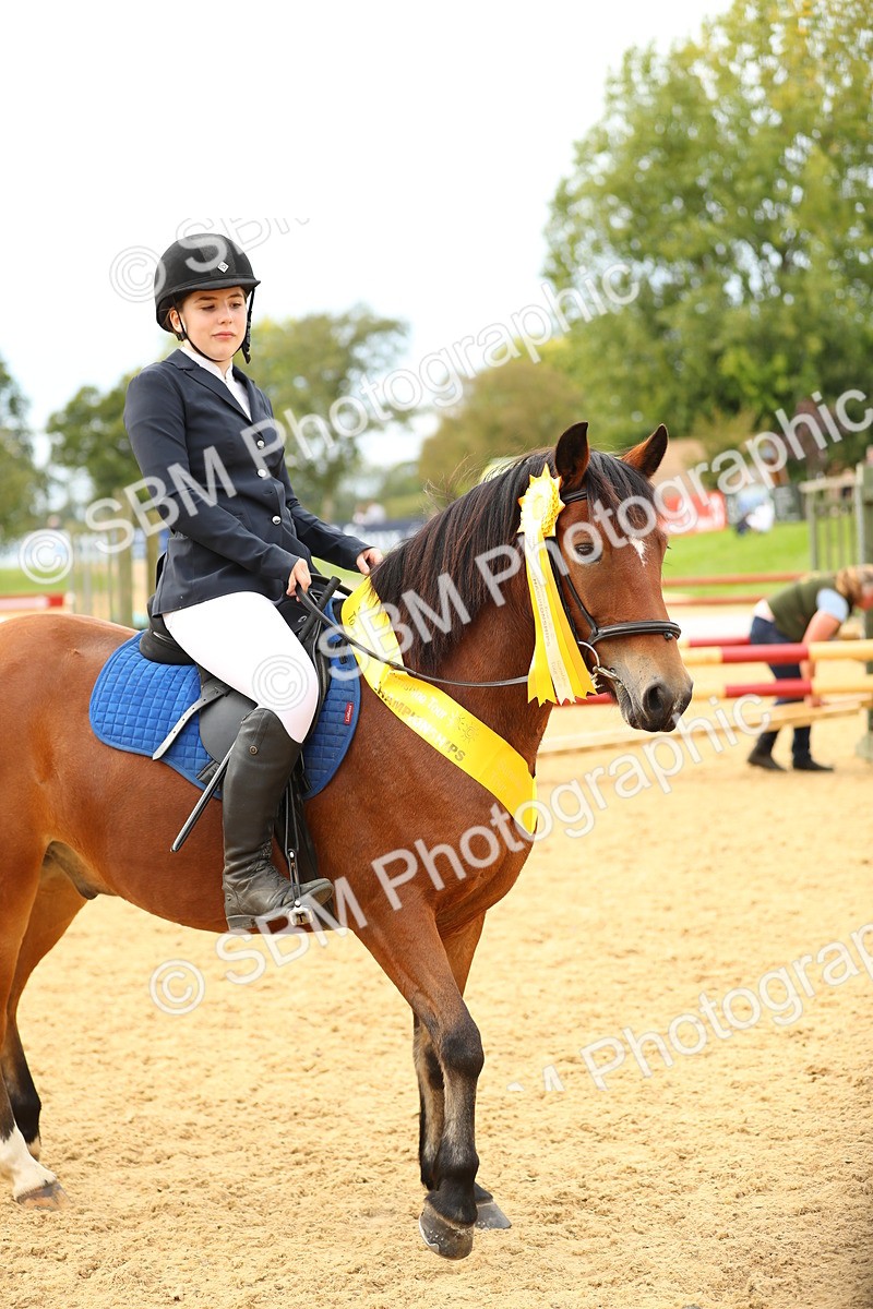 SBM_71296 - J18 - Junior Pony 85cm Championship