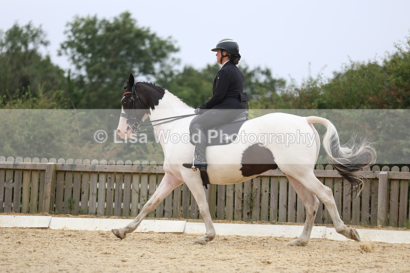 3E7A7362 - Class 9: Elementary 4 2024 - No sections