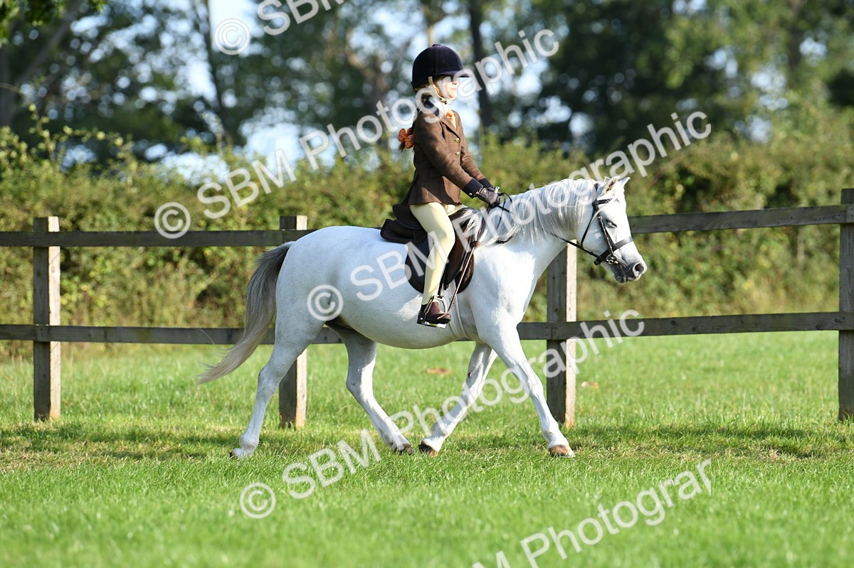 SBM_53978 - S23 - 1st Ridden Mountain & Moorland Pony