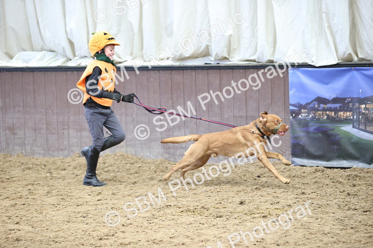 SBM_001376 - Class 3 - Horse & Hound 60cm