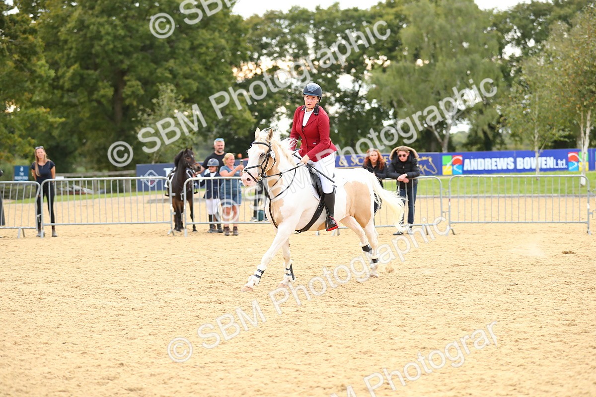 SBM_76201 - J19 - Junior 90cm Supreme Championship