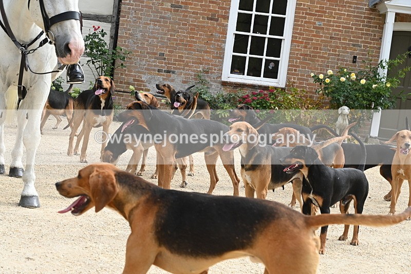 WJ6_3376 - Berks & Bucks - The Old farmhouse - Hound Exercise 20-08-25