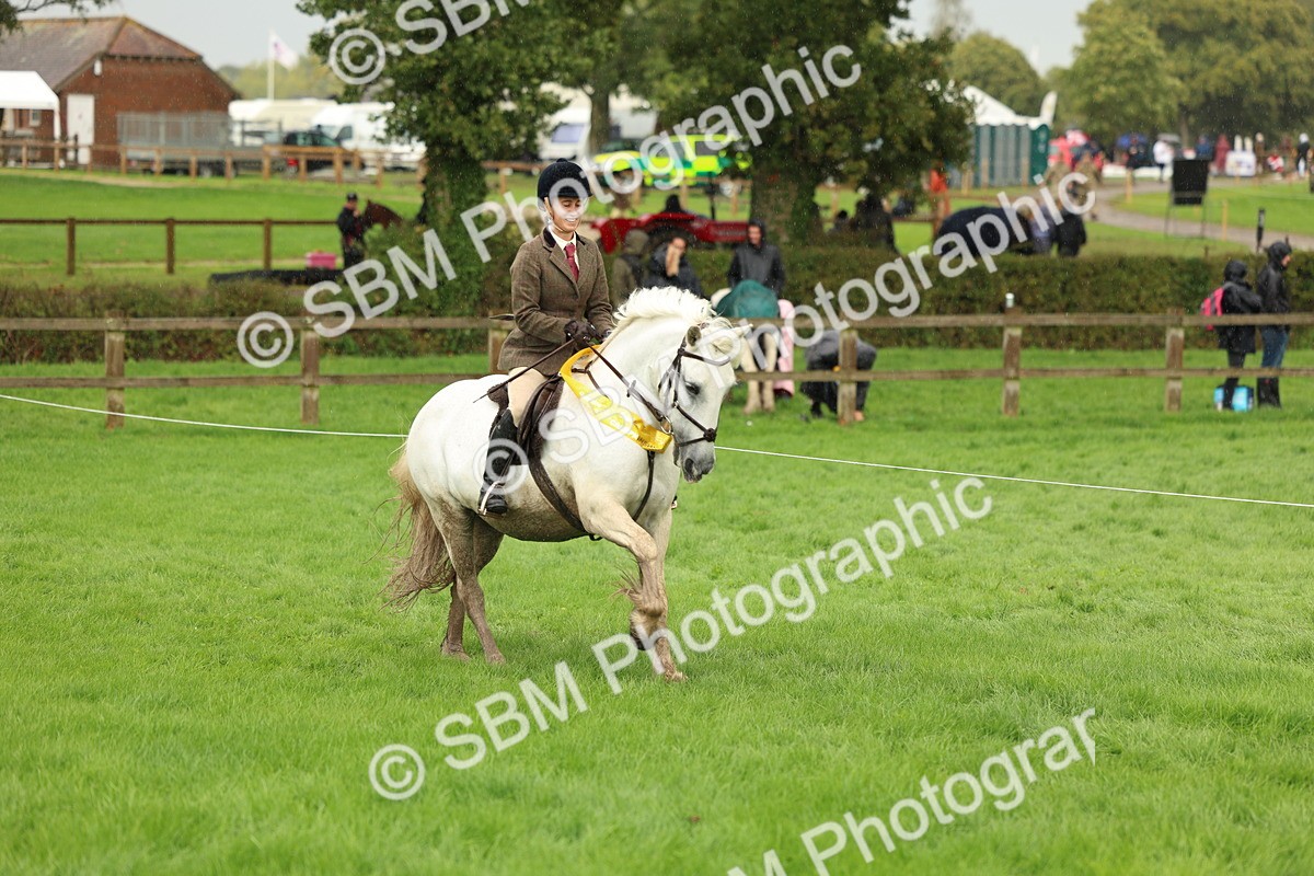 1I0A1529 - S32 - Mountain & Moorland Working Hunter Pony