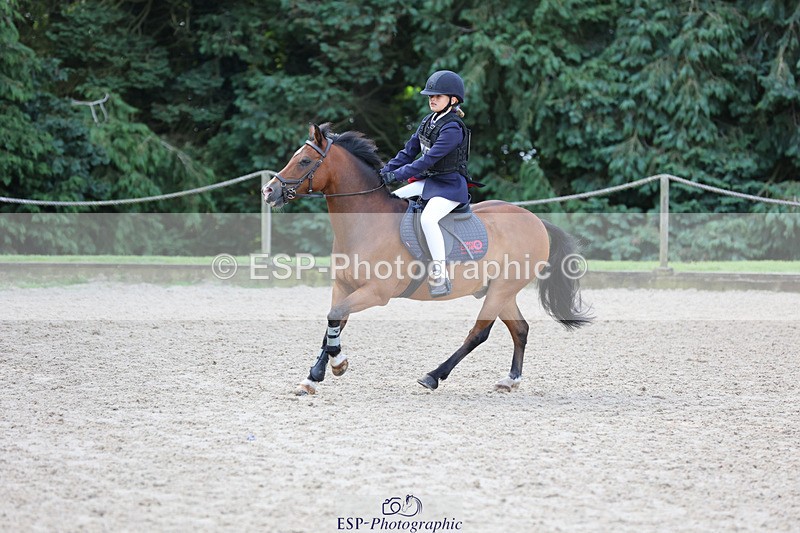 240823X-092006-14496 - 60cm R1 8.30 to 10.00