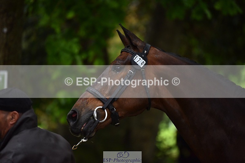 240522-153558-00464 - 379-TREBIFFIN-Neil_Fox