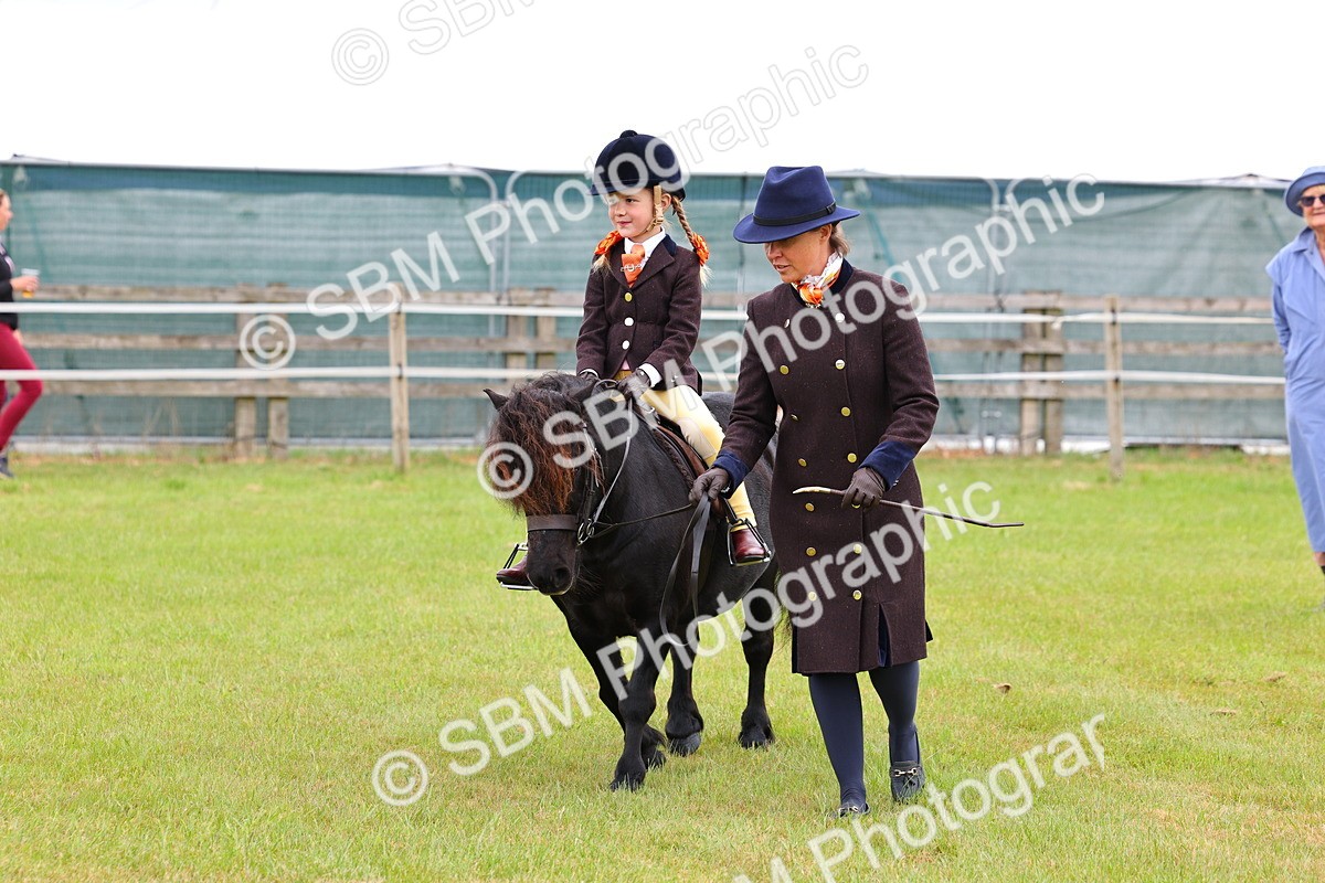 SBM_08147 - Class 42-43 - LIHS BSPS Heritage Working Sports Pony