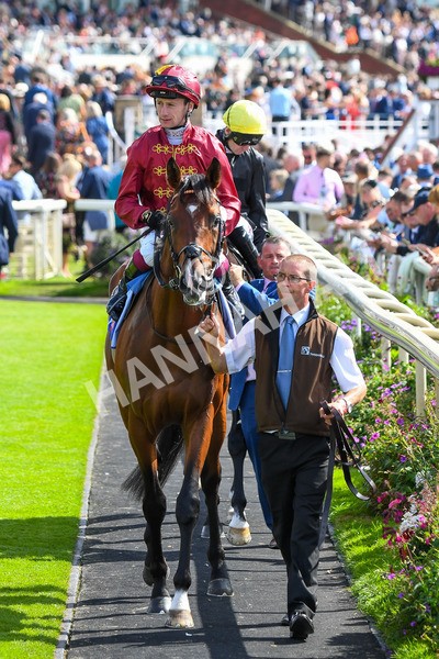 260823-Race 2-Middle Earth-0277 - Race 2 Sky Bet Melrose Handicap