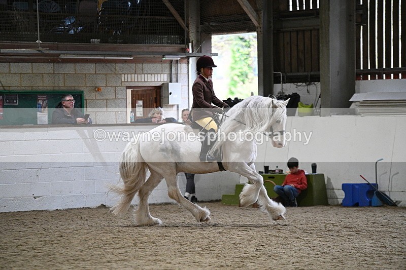 WJ7_3680 - Class 16 Ridden Coloured/ Odd Coloured