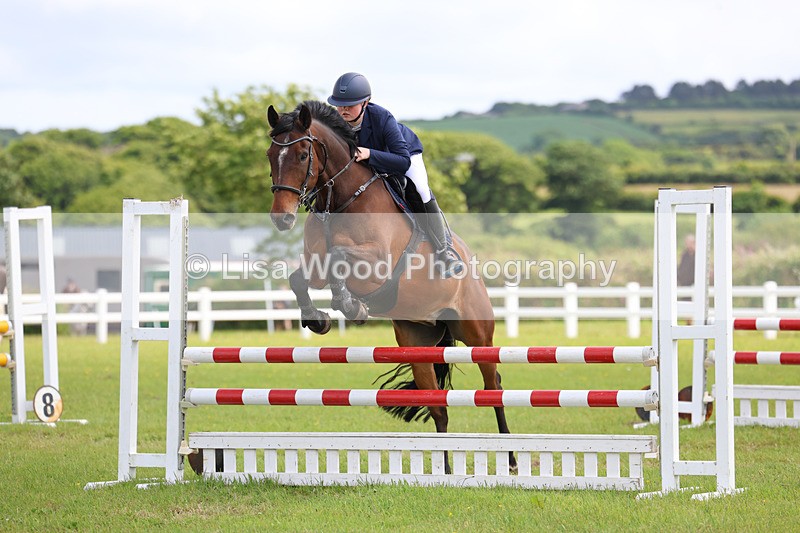 3E7A7548 - Class 13: Senior British Novice/90cm open