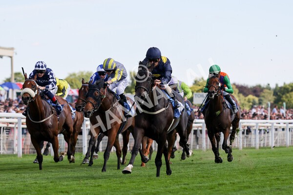 yr09072022r6-14 - Race 6 4.40pm John Smith's City Walls Stakes