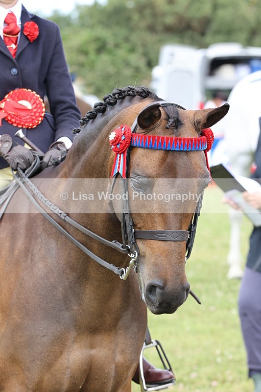 JPP_1661 - Cornish Combination Championship