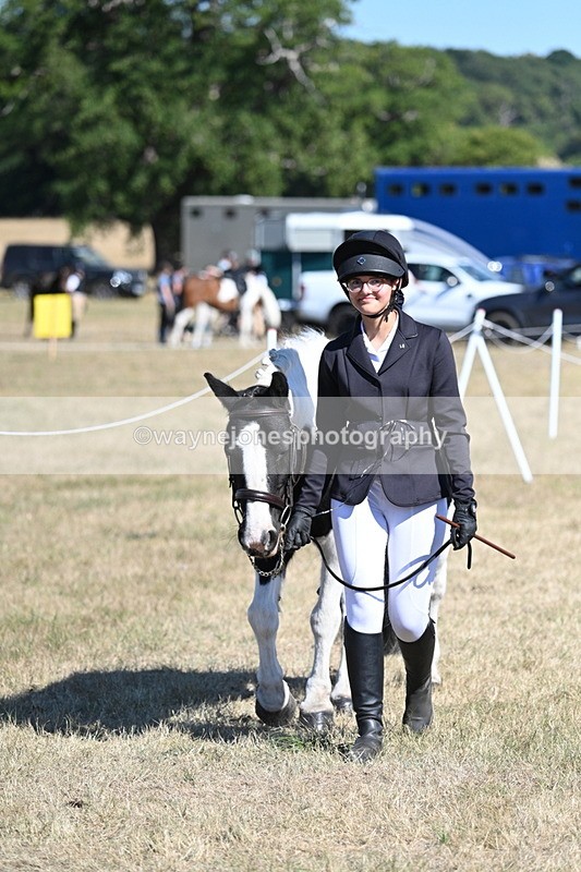 WJ7_1821 - Class 43 Best Six Legs (In hand)