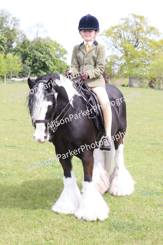 20260426-3025 - Class 33 - Best Pony 14.2hh and Under
