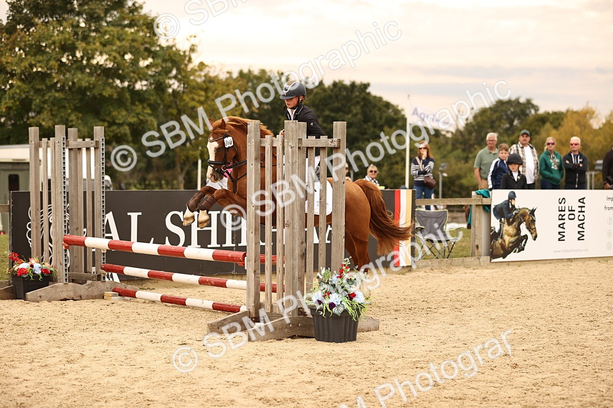 SBM_72653 - J14 - Junior Pony 65cm Championship