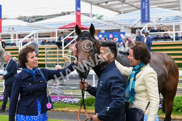 150525-Merchant-5445 - Race 7 5.25pm Haxby Handicap