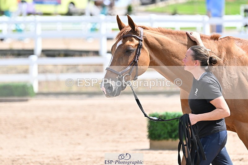240717A-145335-02376 - Trot Up 2pm to 3pm - This folder is not in time order