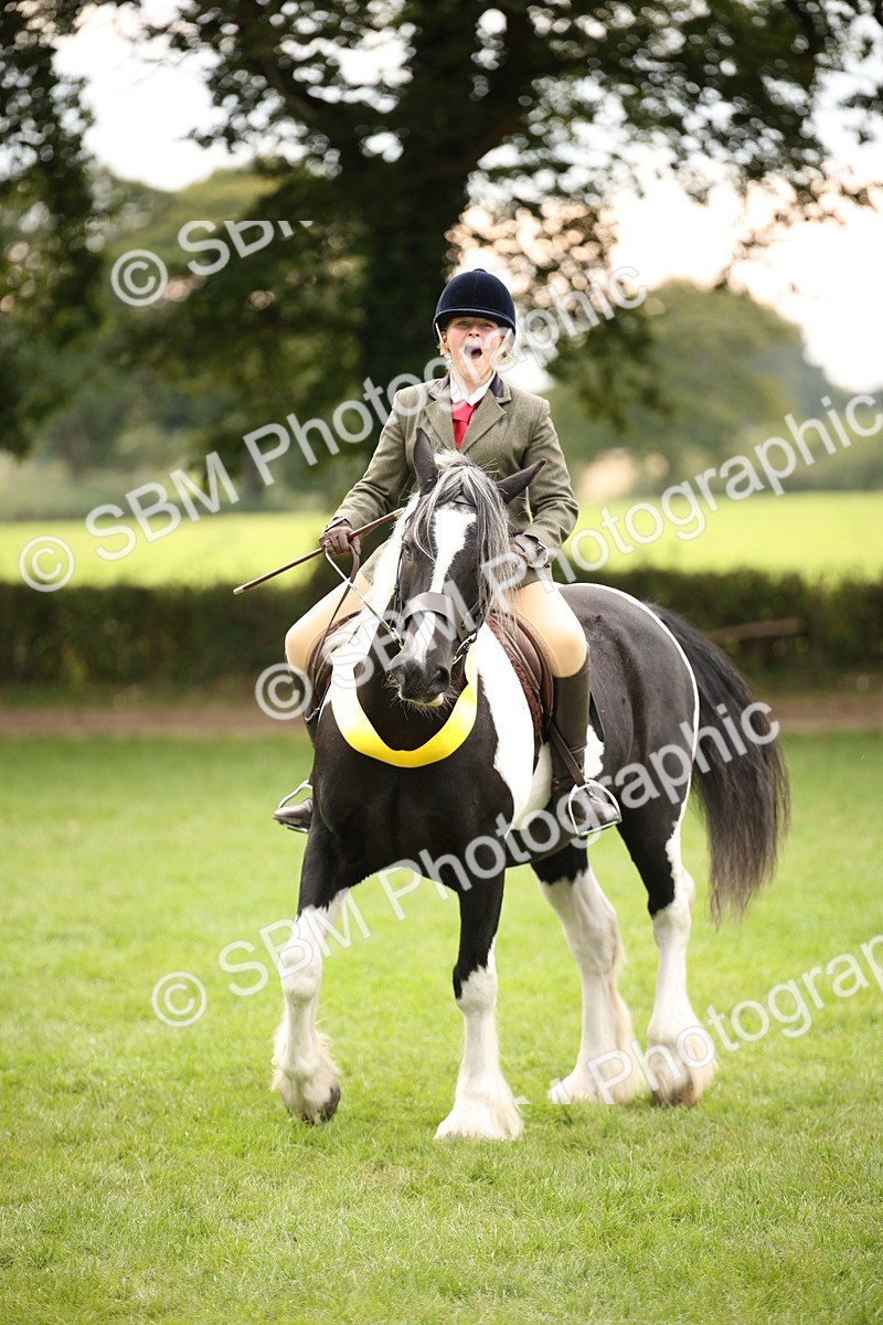 SBM_73652 - Ridden Horse Supreme Championship