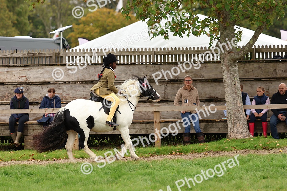 SBM_64580 - S58 - Coloured Pony Ridden