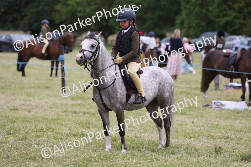 20260614-3150 - Class 22 - Open Working Hunter