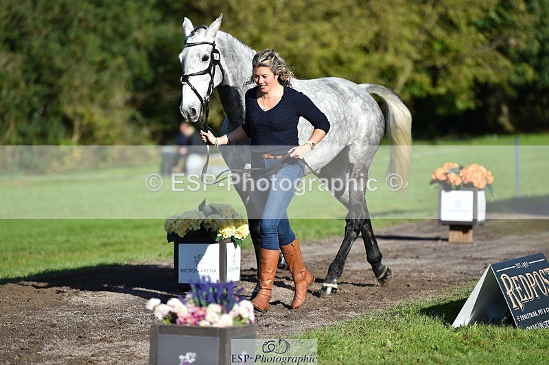 231022-104022-22651 - 445-CRUISING.BORO-Lucy.Knight-TrotUp+SJ