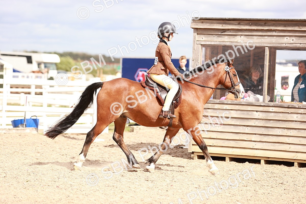 SBM_18367 - Class 418 - Best Condition - Jnr