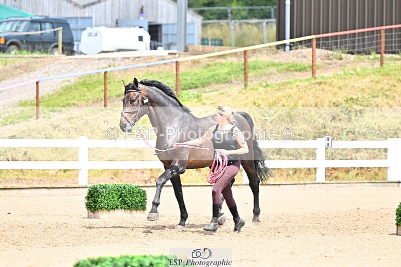 240718A-105322-01899 - Trot Up 1pm to 2pm